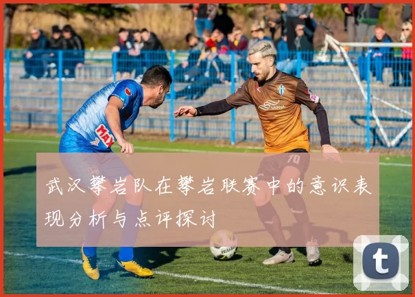 武汉攀岩队在攀岩联赛中的意识表现分析与点评探讨