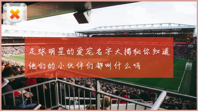 足球明星的爱宠名字大揭秘你知道他们的小伙伴们都叫什么吗
