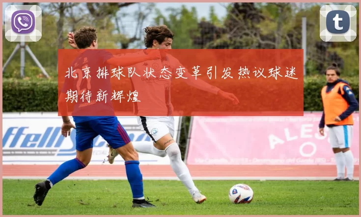 北京排球队状态变革引发热议球迷期待新辉煌