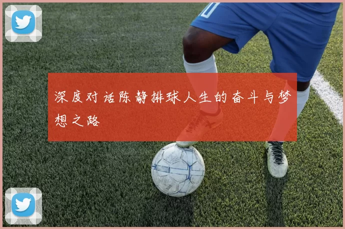 深度对话陈静排球人生的奋斗与梦想之路