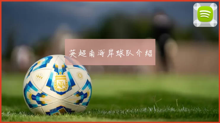 英超南海岸球队介绍