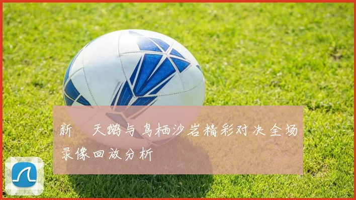 新潟天鹅与鸟栖沙岩精彩对决全场录像回放分析