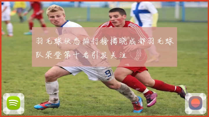 羽毛球状态排行榜揭晓成都羽毛球队荣登第十名引发关注