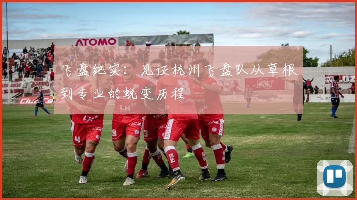 飞盘纪实：见证杭州飞盘队从草根到专业的蜕变历程