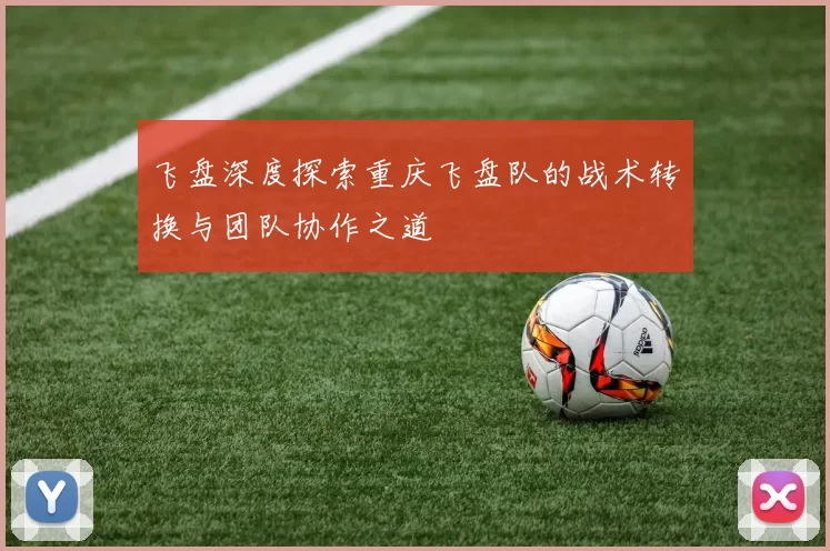 飞盘深度探索重庆飞盘队的战术转换与团队协作之道
